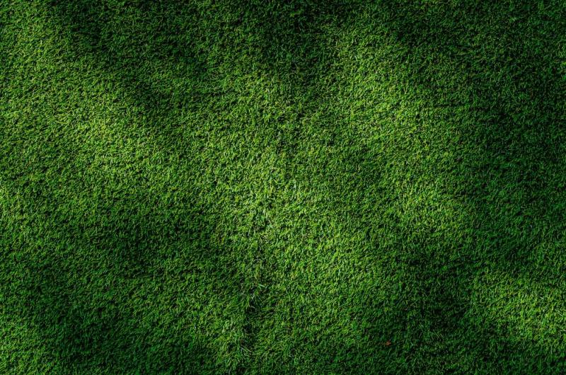 Gazon synth&eacute;tique, un choix durable pour votre jardin