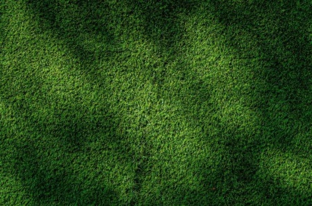 Gazon synth&eacute;tique, un choix durable pour votre jardin